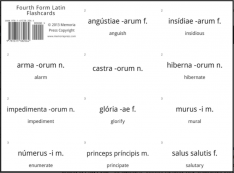 Fourth Form Latin Flashcards